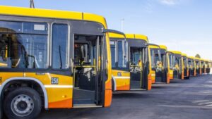 coniferal-cordoba-1791116