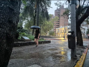 el-ranking-de-los-lugares-donde-mas-llovio-en-las-ultimas-horas-en-cordoba-URNNKAHYL5GQLAGQ2SG4WHEVDY-avif-767×575--04-13-2026_06_02_PM