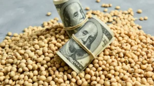 el-sector-agroindustrial-podria-generar-2400-millones-dolares-anuales-mas-la-baja-derechos-exportacion-foto-shutterstock