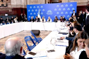 El-oficialismo-intenta-apurar-el-Super-Rigi-en-el-Senado-optimized