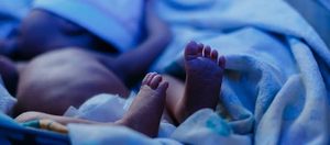 images - 2026-09-19T113031.363